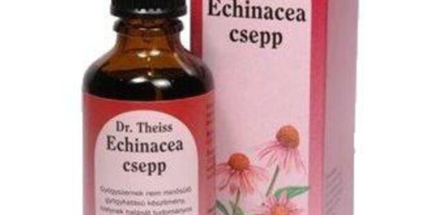 echinacea