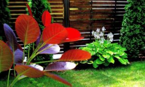 Magas ágyás készítése házilag